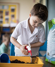 Untitled-1_0002_Kindergarten